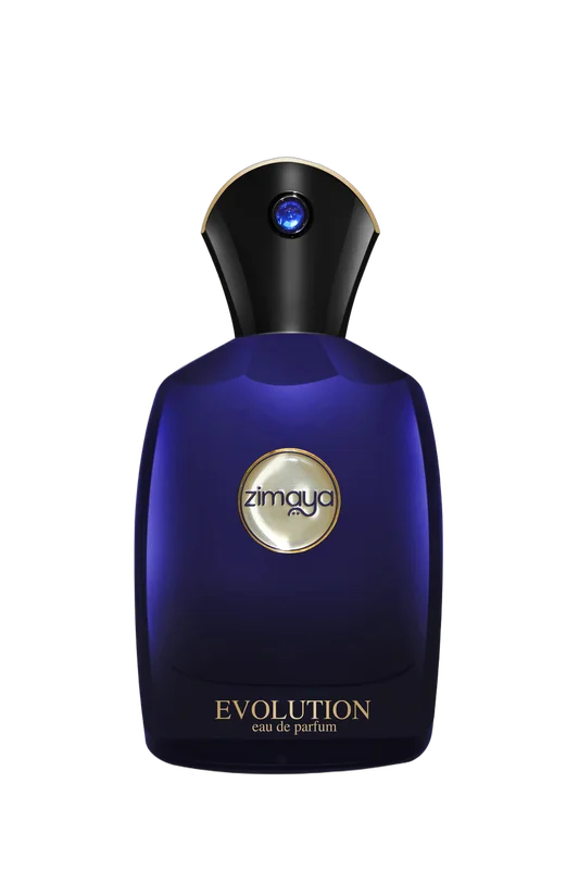 EVOLUTION EDP